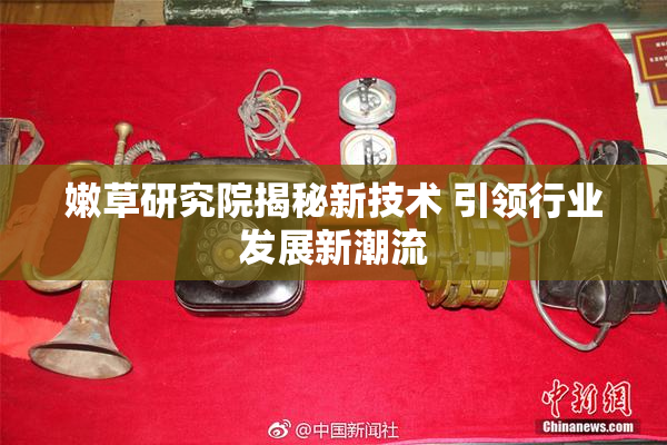 嫩草研究院揭秘新技术 引领行业发展新潮流