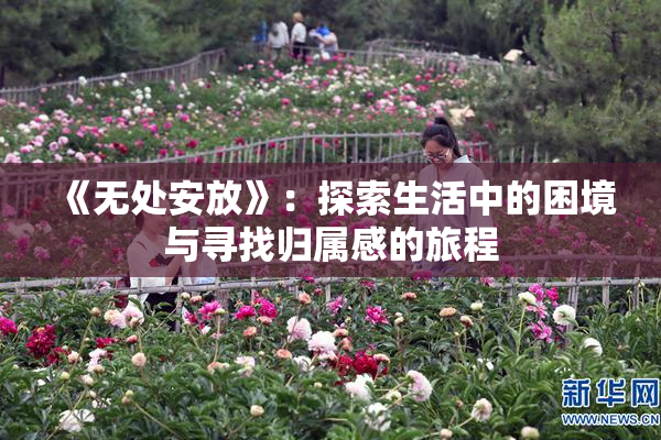 《无处安放》：探索生活中的困境与寻找归属感的旅程
