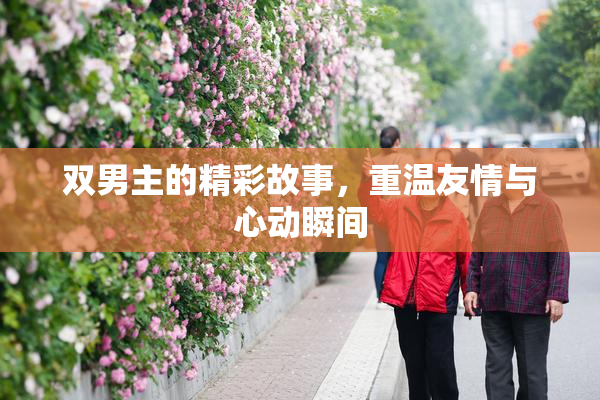 双男主的精彩故事，重温友情与心动瞬间