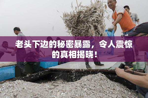 老头下边的秘密暴露，令人震惊的真相揭晓！