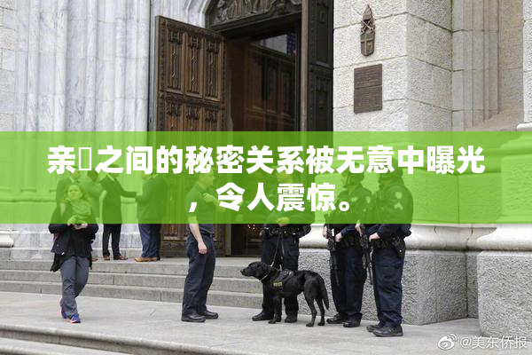 亲妺之间的秘密关系被无意中曝光，令人震惊。