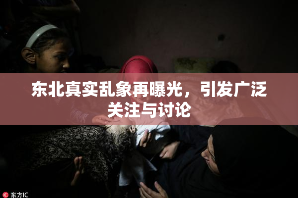 东北真实乱象再曝光，引发广泛关注与讨论