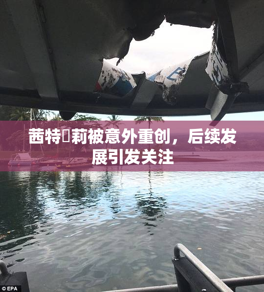 茜特菈莉被意外重创，后续发展引发关注