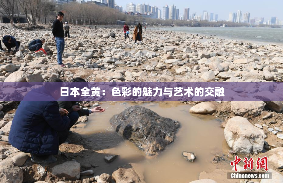 日本全黄：色彩的魅力与艺术的交融