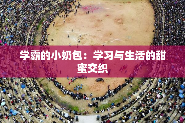 学霸的小奶包：学习与生活的甜蜜交织