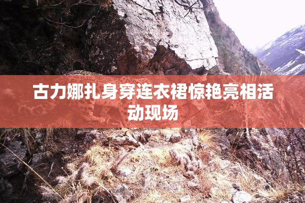古力娜扎身穿连衣裙惊艳亮相活动现场