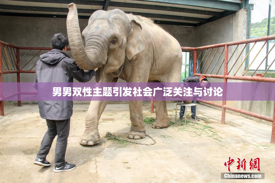 男男双性主题引发社会广泛关注与讨论