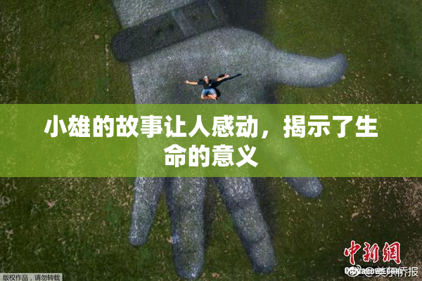 小雄的故事让人感动，揭示了生命的意义
