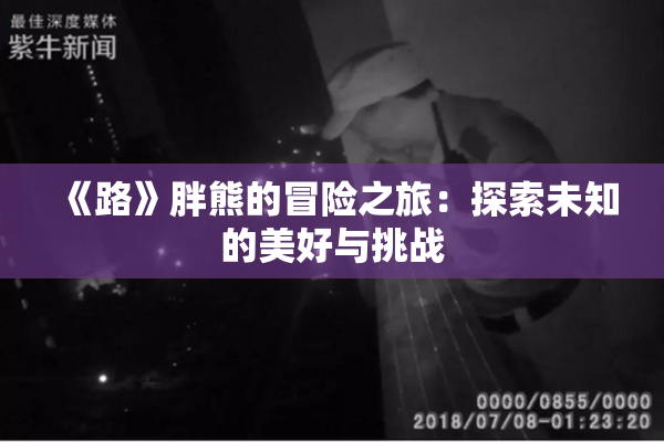 《路》胖熊的冒险之旅：探索未知的美好与挑战