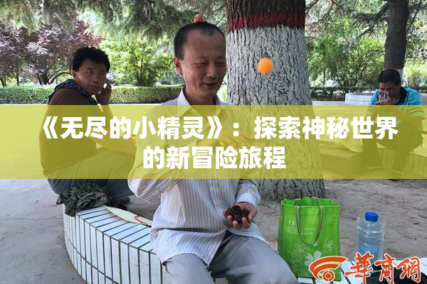 《无尽的小精灵》：探索神秘世界的新冒险旅程