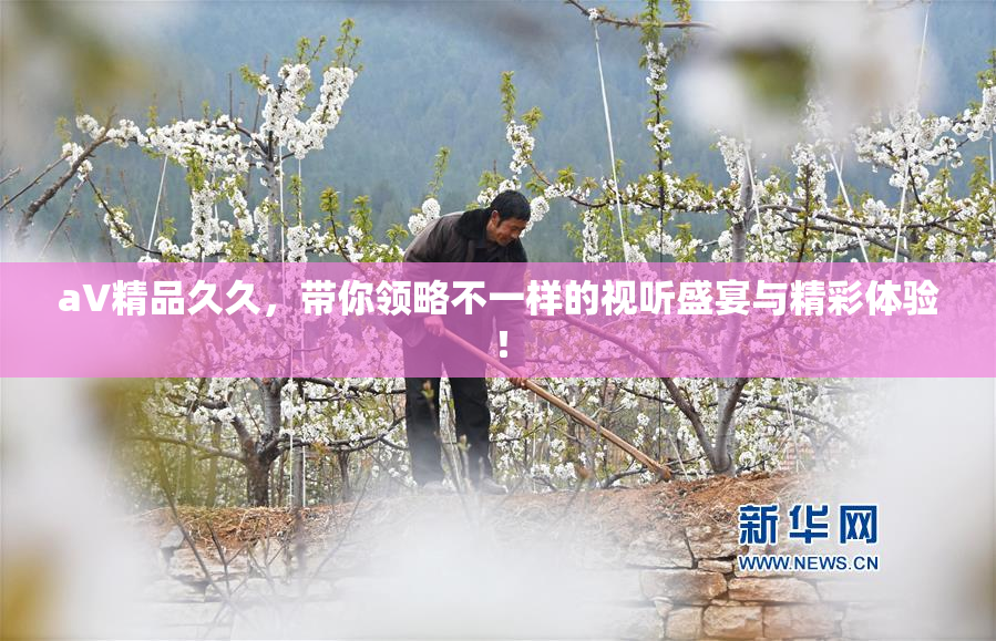 aV精品久久，带你领略不一样的视听盛宴与精彩体验！