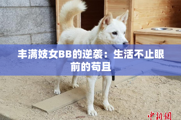 丰满妓女BB的逆袭：生活不止眼前的苟且