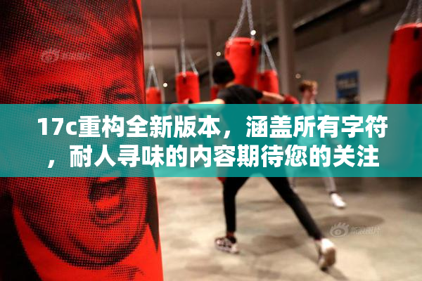 17c重构全新版本，涵盖所有字符，耐人寻味的内容期待您的关注。