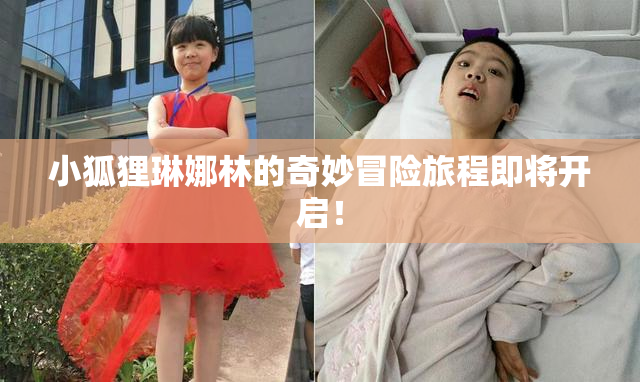 小狐狸琳娜林的奇妙冒险旅程即将开启！