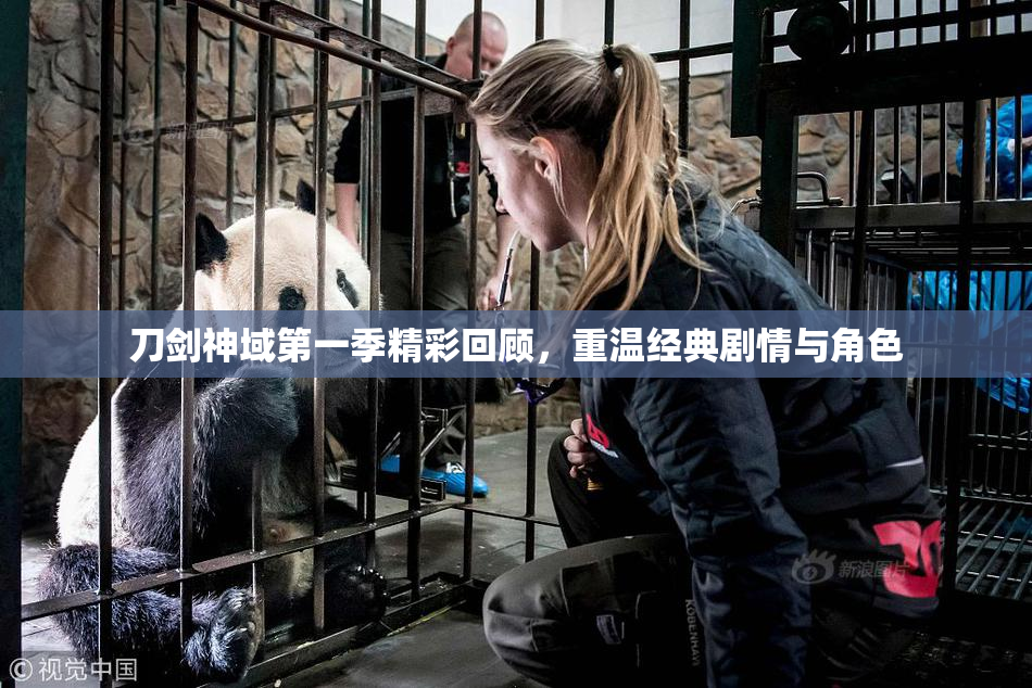 刀剑神域第一季精彩回顾，重温经典剧情与角色