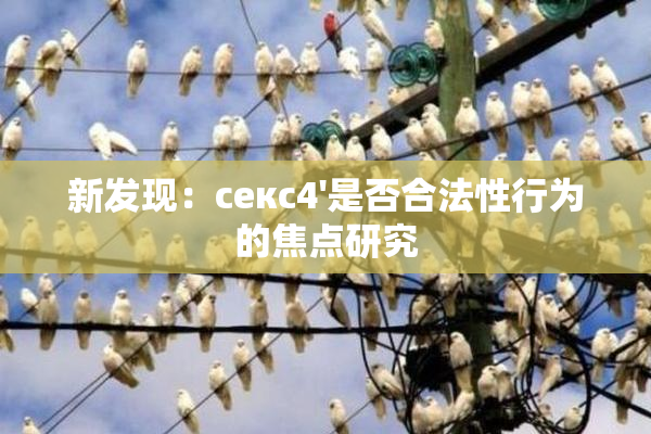 新发现：секс4'是否合法性行为的焦点研究