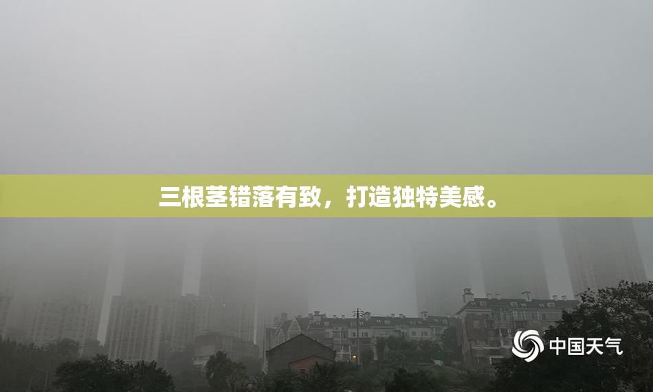 三根茎错落有致，打造独特美感。