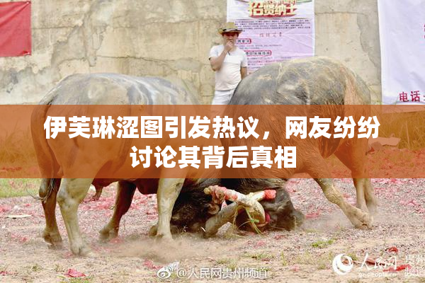 伊芙琳涩图引发热议，网友纷纷讨论其背后真相