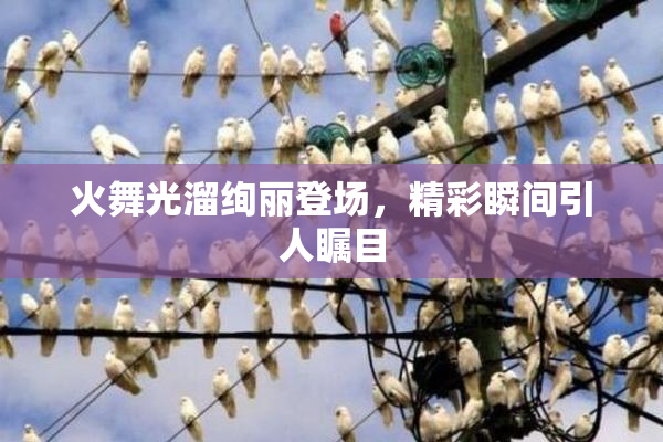 火舞光溜绚丽登场，精彩瞬间引人瞩目