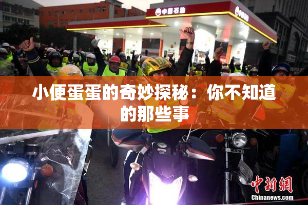 小便蛋蛋的奇妙探秘：你不知道的那些事