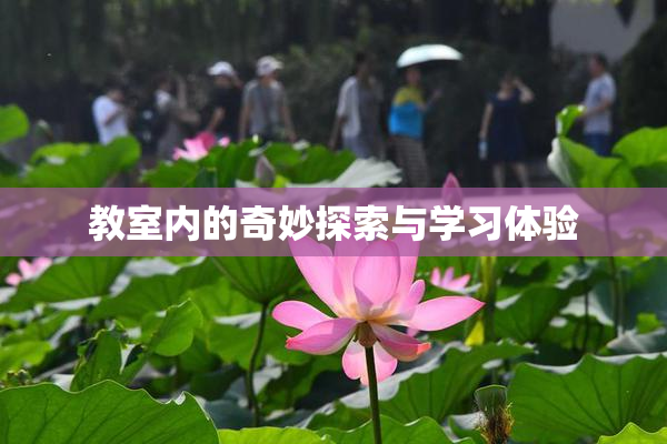 教室内的奇妙探索与学习体验