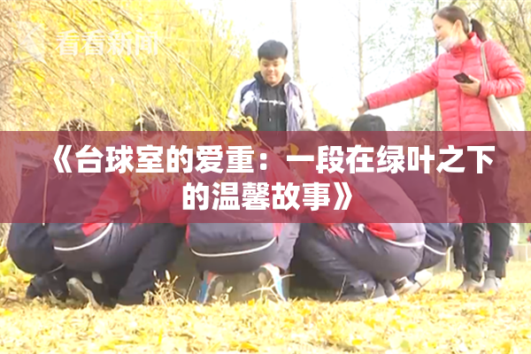 《台球室的爱重：一段在绿叶之下的温馨故事》
