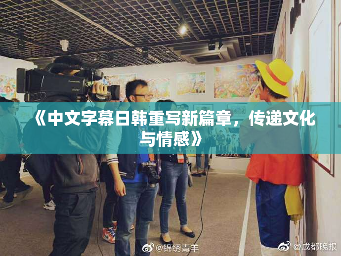 《中文字幕日韩重写新篇章，传递文化与情感》