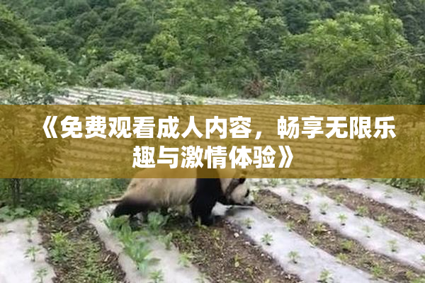 《免费观看成人内容，畅享无限乐趣与激情体验》