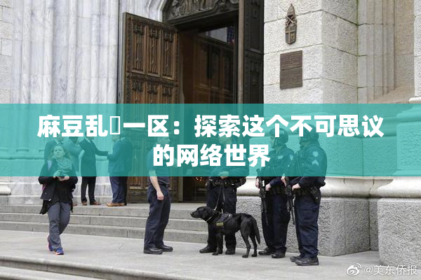 麻豆乱婬一区：探索这个不可思议的网络世界