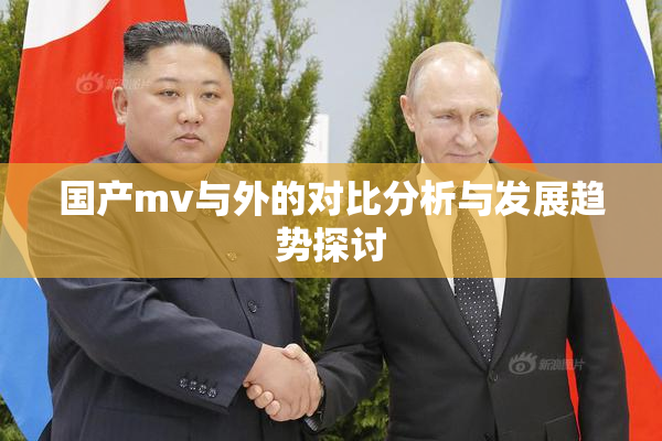 国产mv与外的对比分析与发展趋势探讨