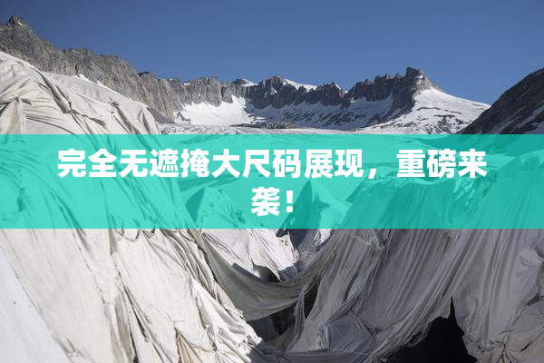 完全无遮掩大尺码展现，重磅来袭！