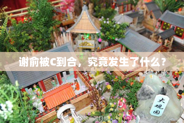 谢俞被C到合，究竟发生了什么？