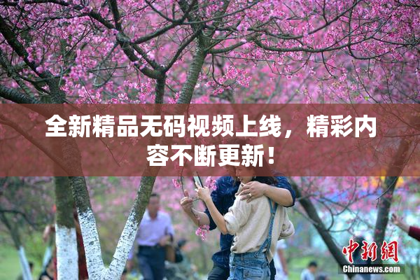 全新精品无码视频上线，精彩内容不断更新！