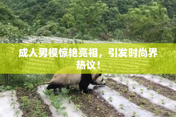 成人男模惊艳亮相，引发时尚界热议！