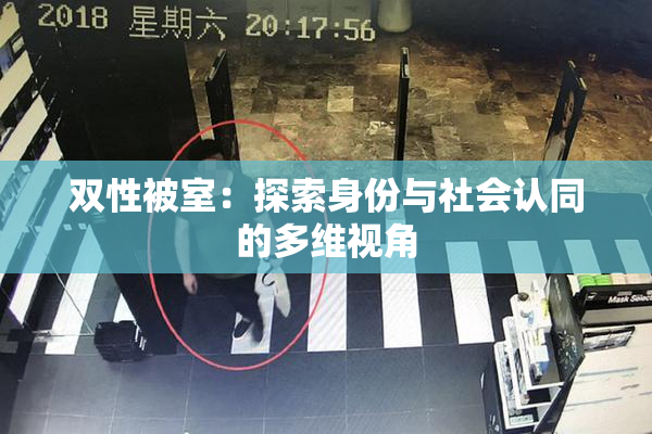 双性被室：探索身份与社会认同的多维视角