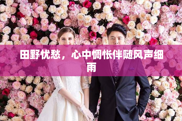 田野忧愁，心中惆怅伴随风声细雨