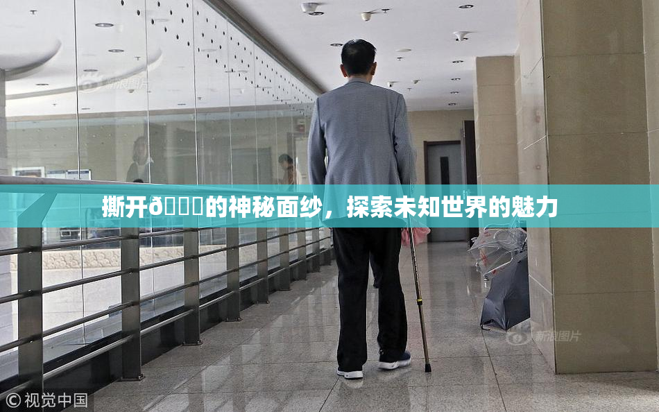撕开👙的神秘面纱，探索未知世界的魅力