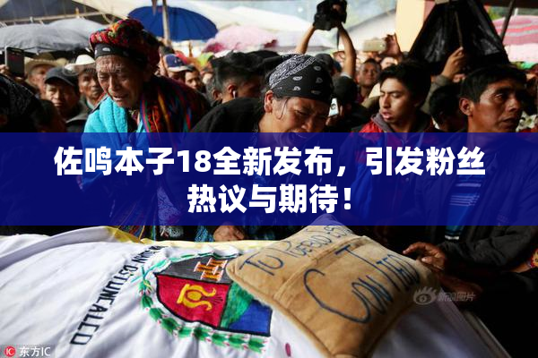 佐鸣本子18全新发布，引发粉丝热议与期待！