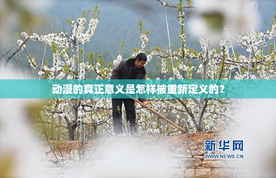动漫的真正意义是怎样被重新定义的？
