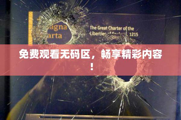 免费观看无码区，畅享精彩内容！