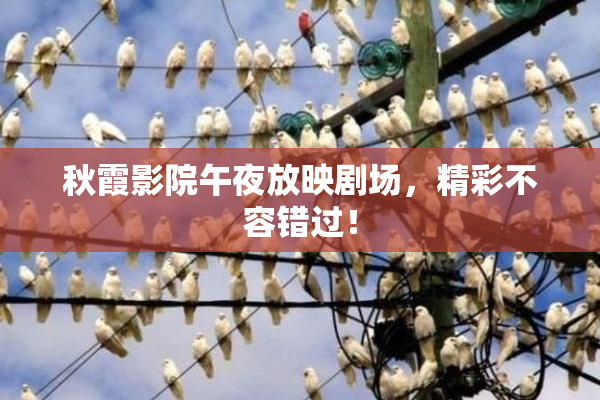 秋霞影院午夜放映剧场，精彩不容错过！