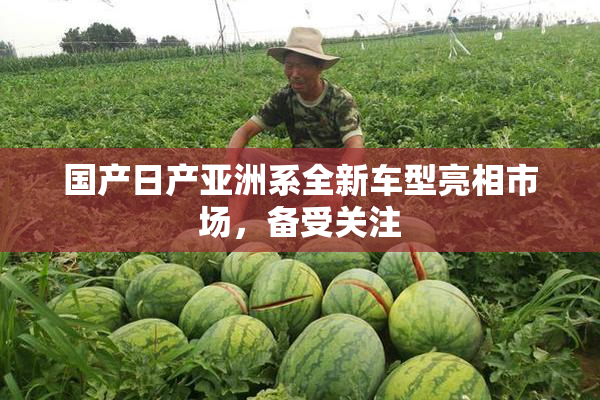 国产日产亚洲系全新车型亮相市场，备受关注