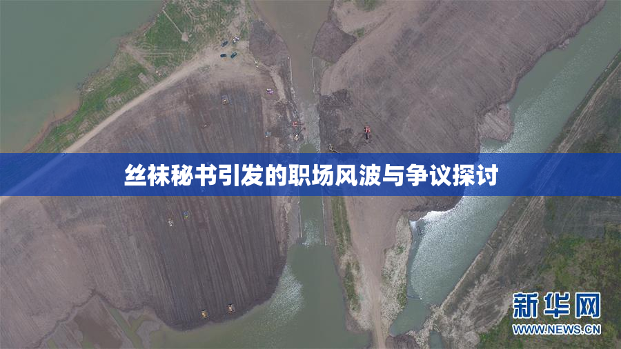 丝袜秘书引发的职场风波与争议探讨