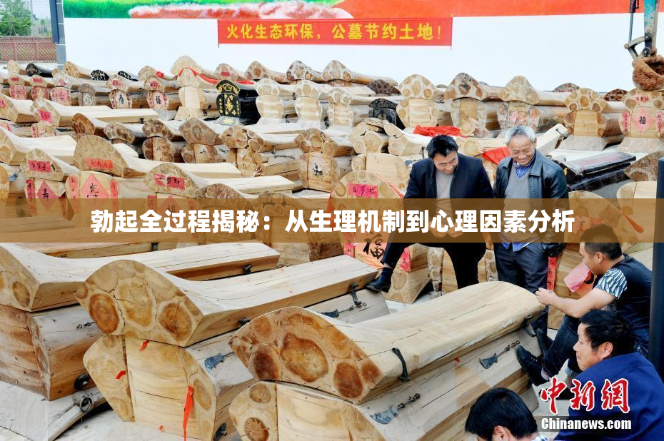 勃起全过程揭秘：从生理机制到心理因素分析
