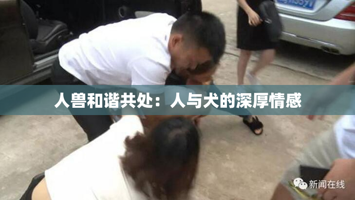 人兽和谐共处：人与犬的深厚情感