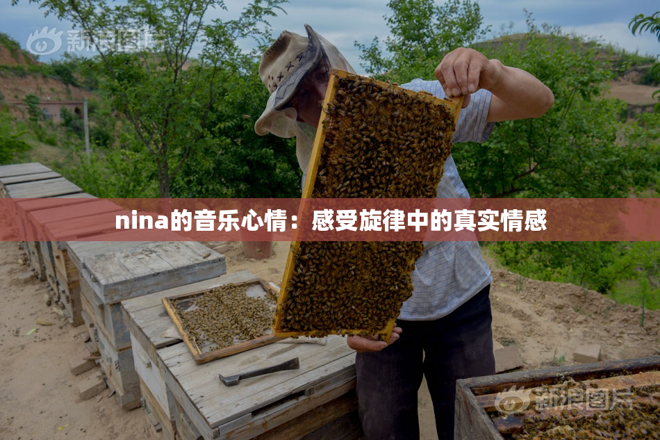 nina的音乐心情：感受旋律中的真实情感