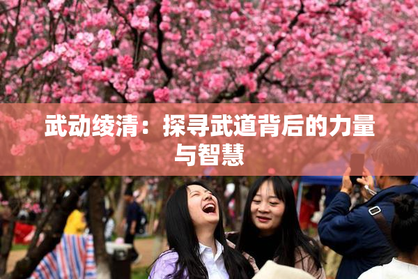 武动绫清：探寻武道背后的力量与智慧
