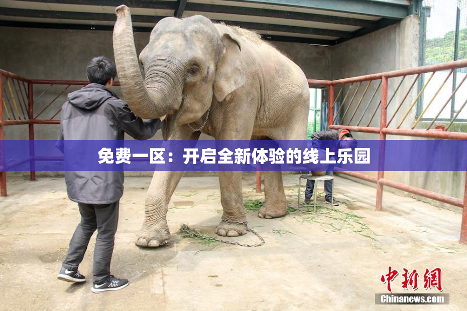 免费一区：开启全新体验的线上乐园