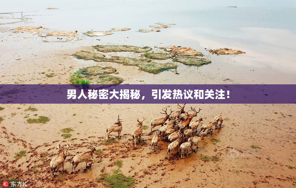 男人秘密大揭秘，引发热议和关注！