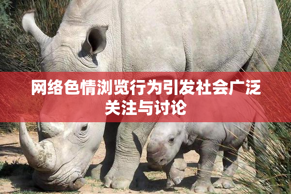 网络色情浏览行为引发社会广泛关注与讨论